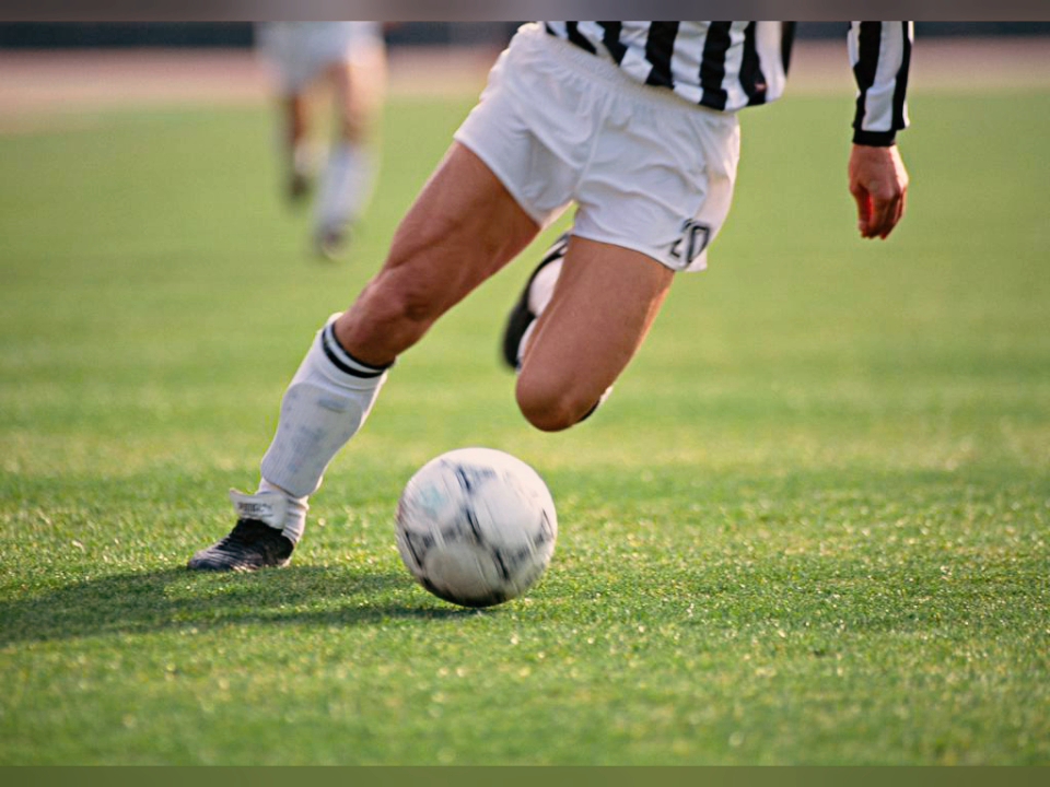 南特主场逼平里昂,展现强大实力的简单介绍 南特主场逼平里昂,展现强大实力的简单介绍