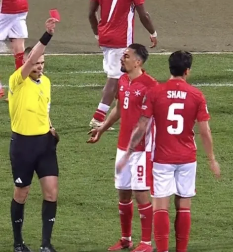 罗马尼亚队迎击立陶宛队，力争取胜的简单介绍